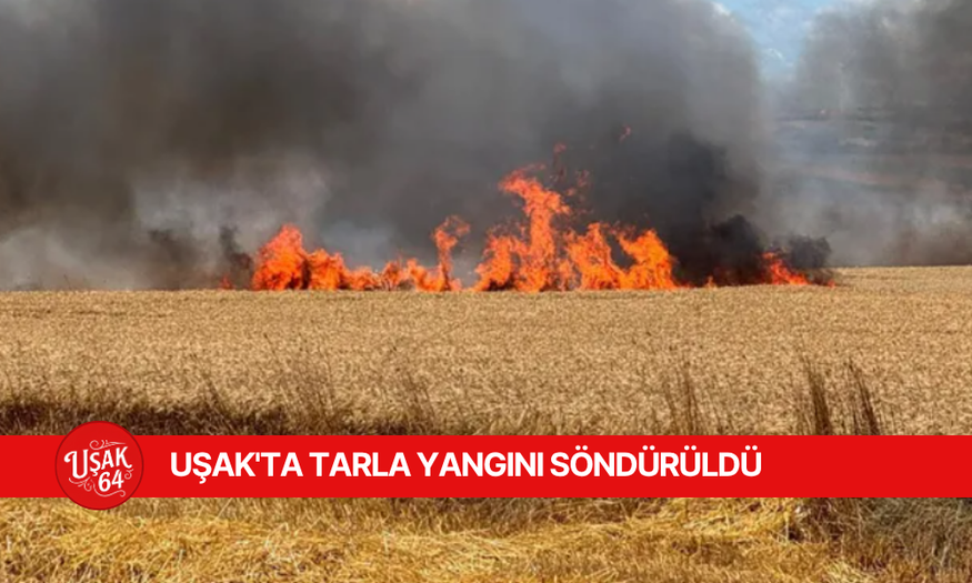 UŞAK'TA TARLA YANGINI SÖNDÜRÜLDÜ