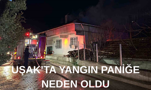 Uşak'ta Yangın